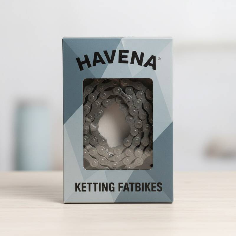Catena della fat bike: quando pulirla, lubrificarla e cambiarla