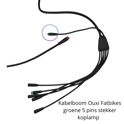 Cablaggio fat bike Ouxi connettore faro verde 5 pin